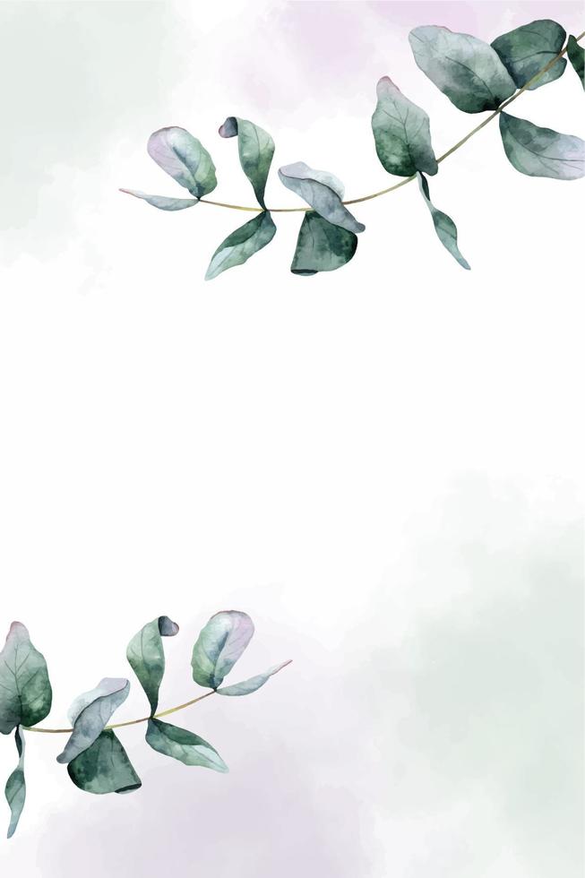 feuille verte d'eucalyptus et cadre de taches d'aquarelle. illustration florale aquarelle. arrière-plan pour les invitations de mariage, salutations, fonds d'écran, cartes postales vecteur