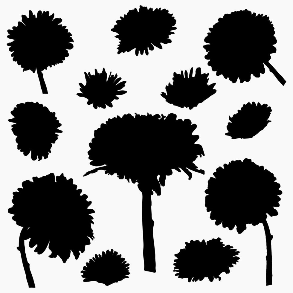 de vraies silhouettes modernes de plantes, d'herbes. dessin fleurs aster. modèle de conception plate. vecteur isolé.