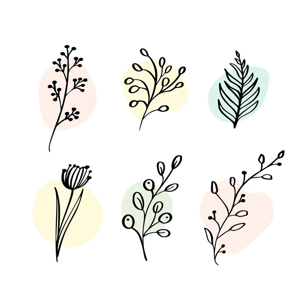 vector set éléments botaniques fleurs sauvages, herbes. jardin de collection et feuillage sauvage, fleurs, branches. illustration plantes isolées sur fond blanc