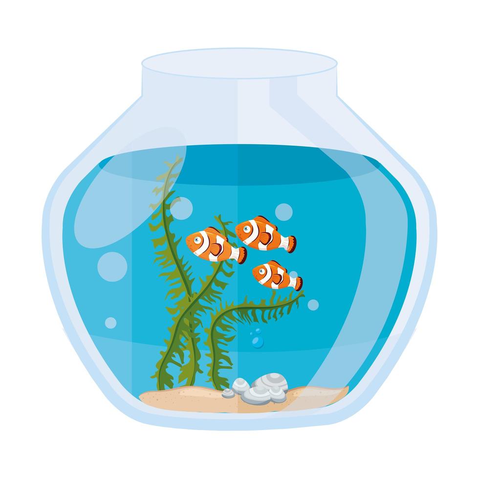 poissons-clowns d'aquarium avec de l'eau, des algues, des animaux marins d'aquarium vecteur