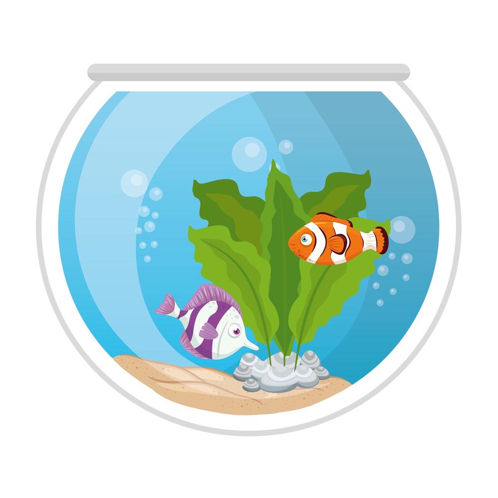 poissons d'aquarium avec eau, algues, animal marin d'aquarium vecteur