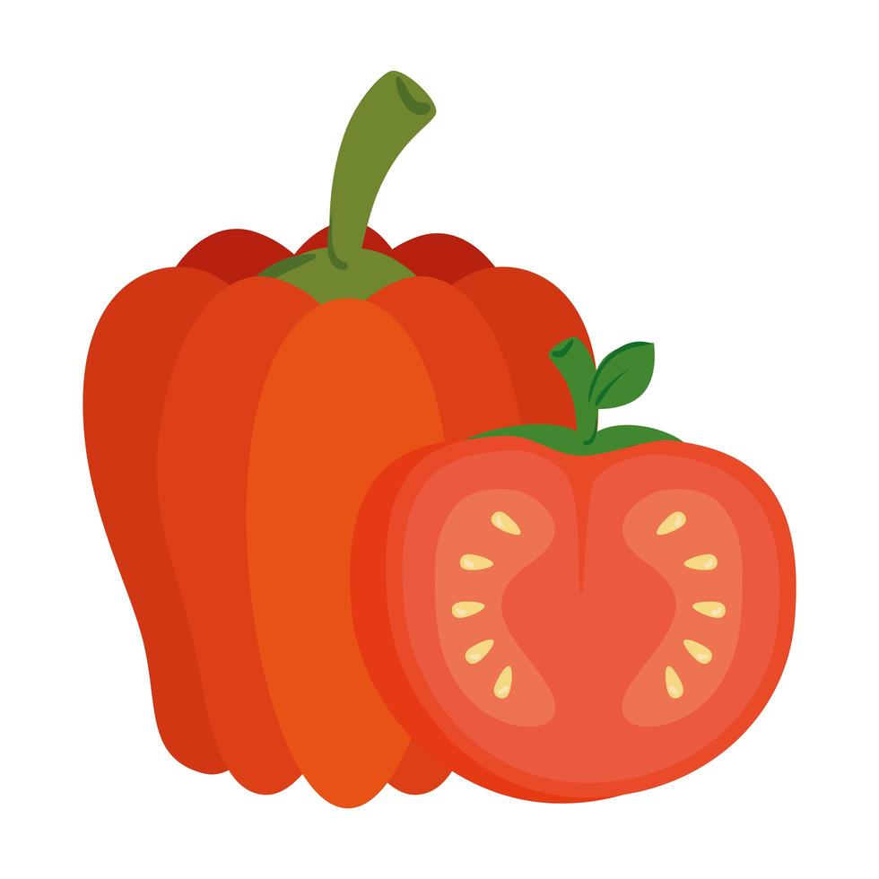 légumes frais, poivron à la tomate en fond blanc vecteur