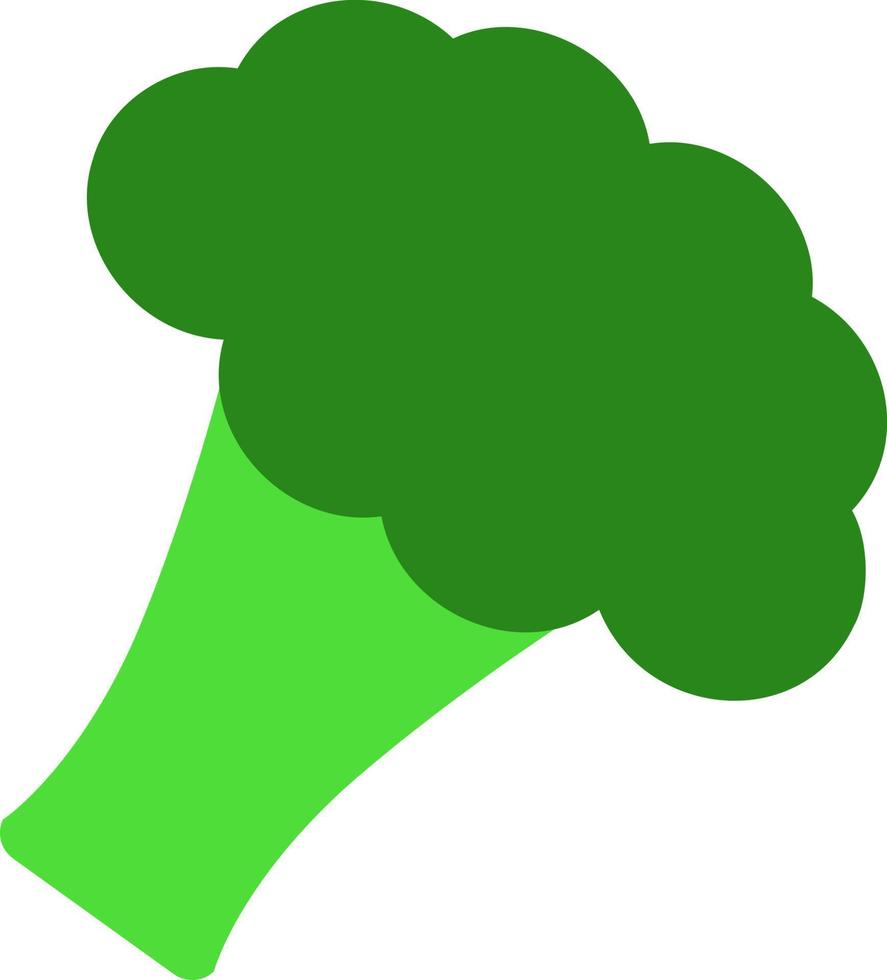 brocoli, vecteur. brocoli vert. peut être utilisé comme logo, icône. vecteur