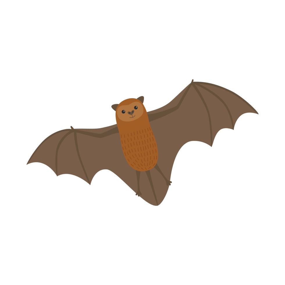 illustration de vol de chauve souris vecteur