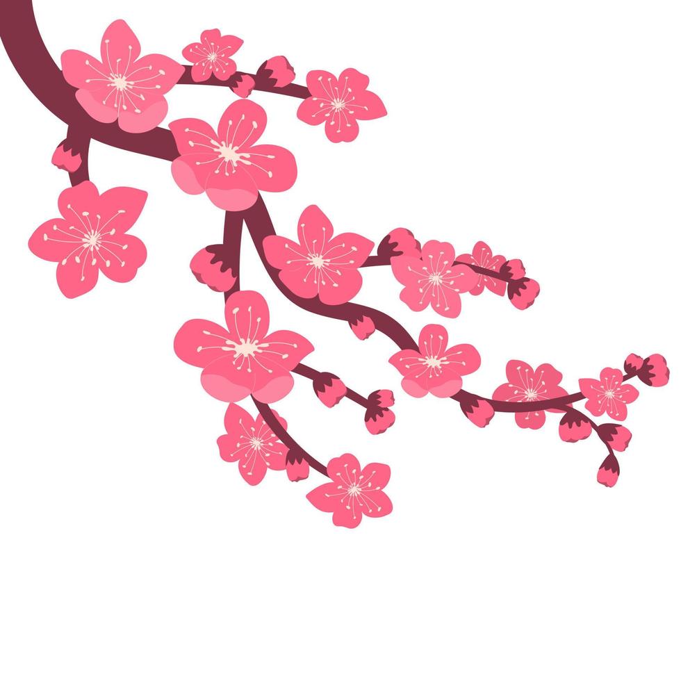 branche de fleur de cerisier vecteur