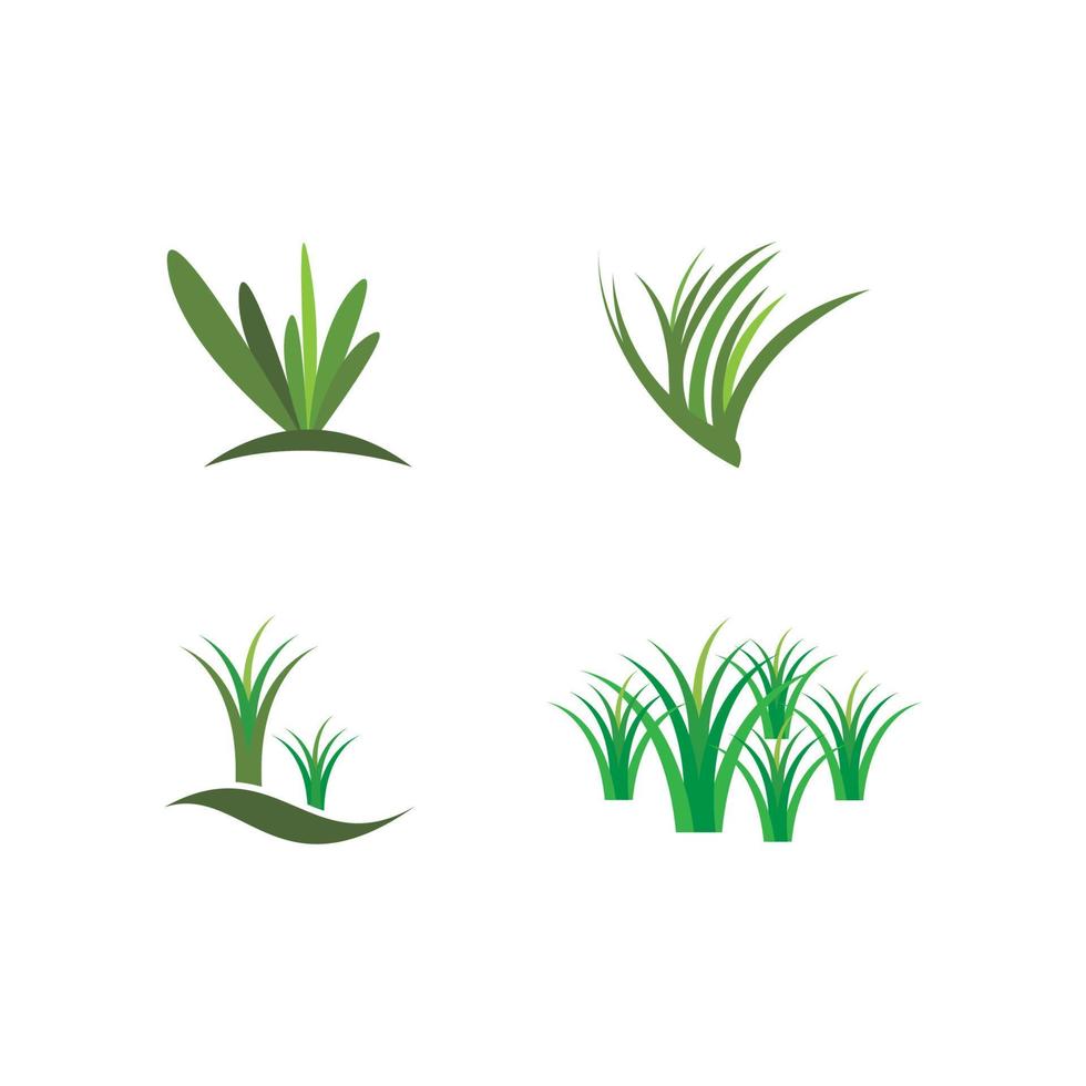 vecteur de logo d'herbe