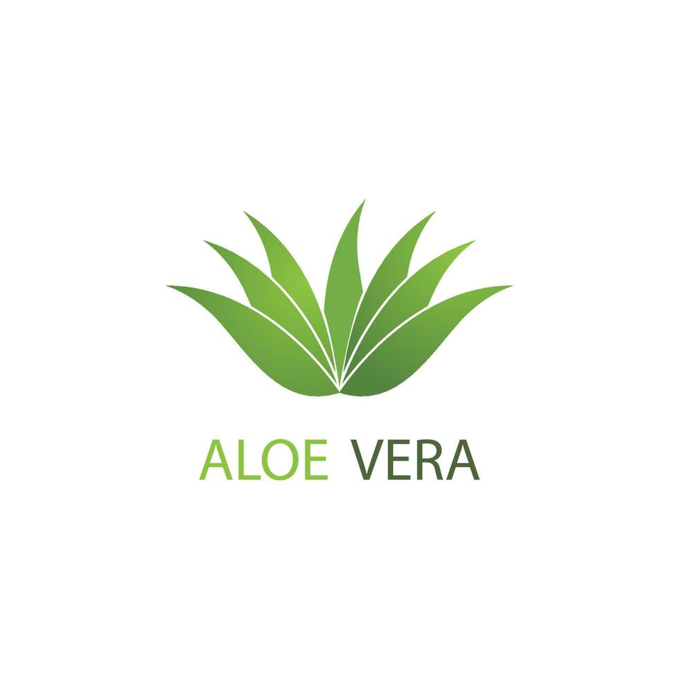 logo d'aloe vera vecteur