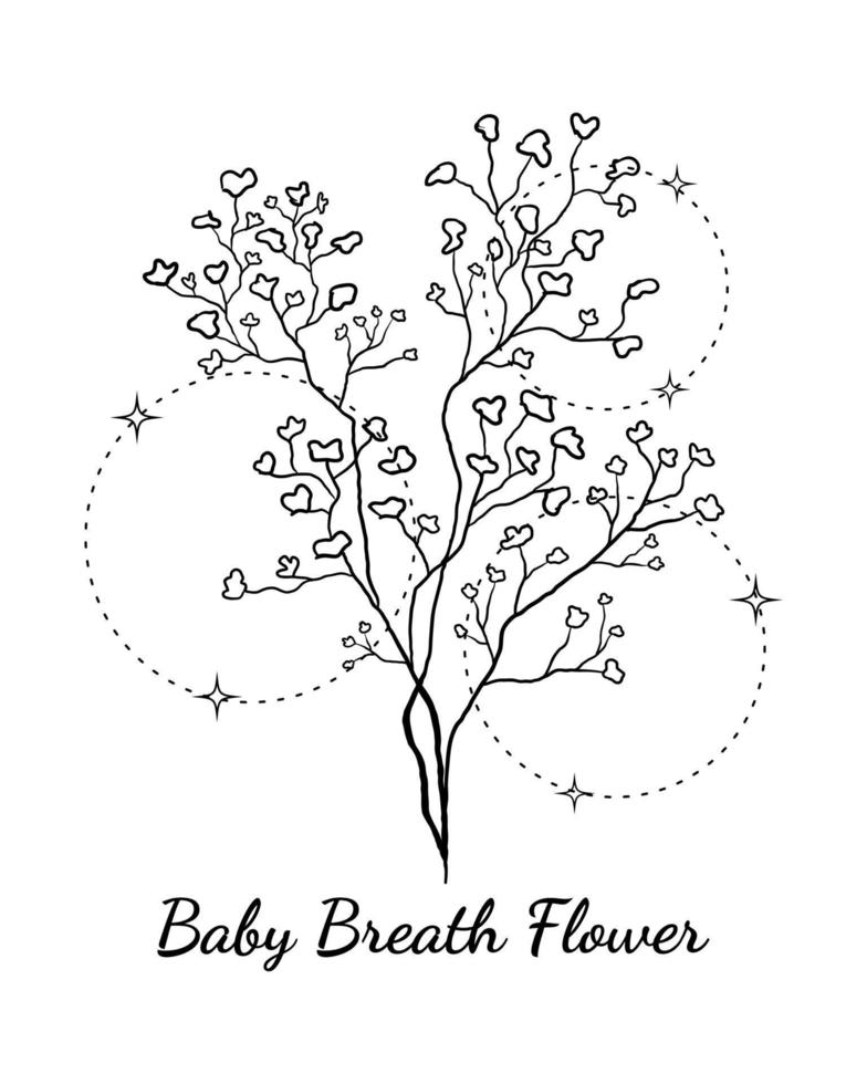 conception d'illustration vectorielle de fleur de souffle beaby vecteur