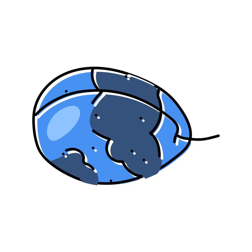 illustration vectorielle d'icône de couleur de fruit bleu prune vecteur
