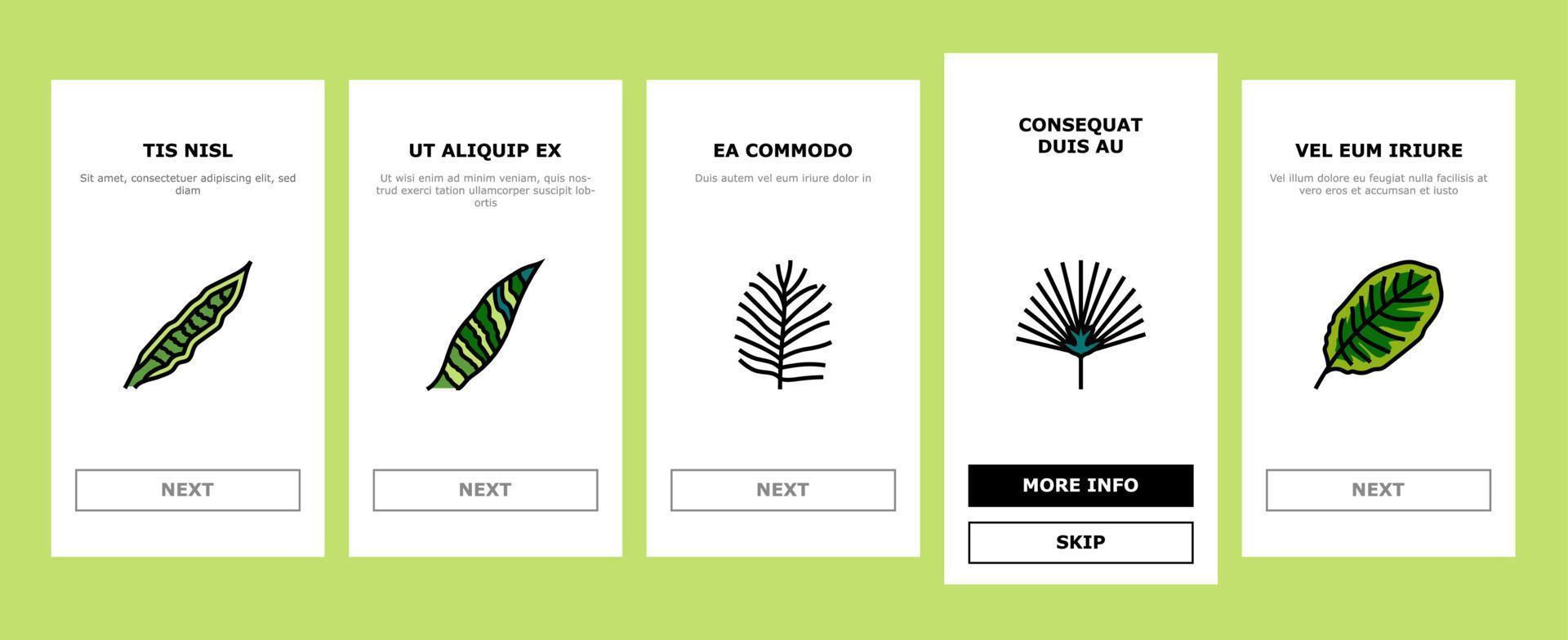 feuille de palmier été plante vert onboarding icônes set vector