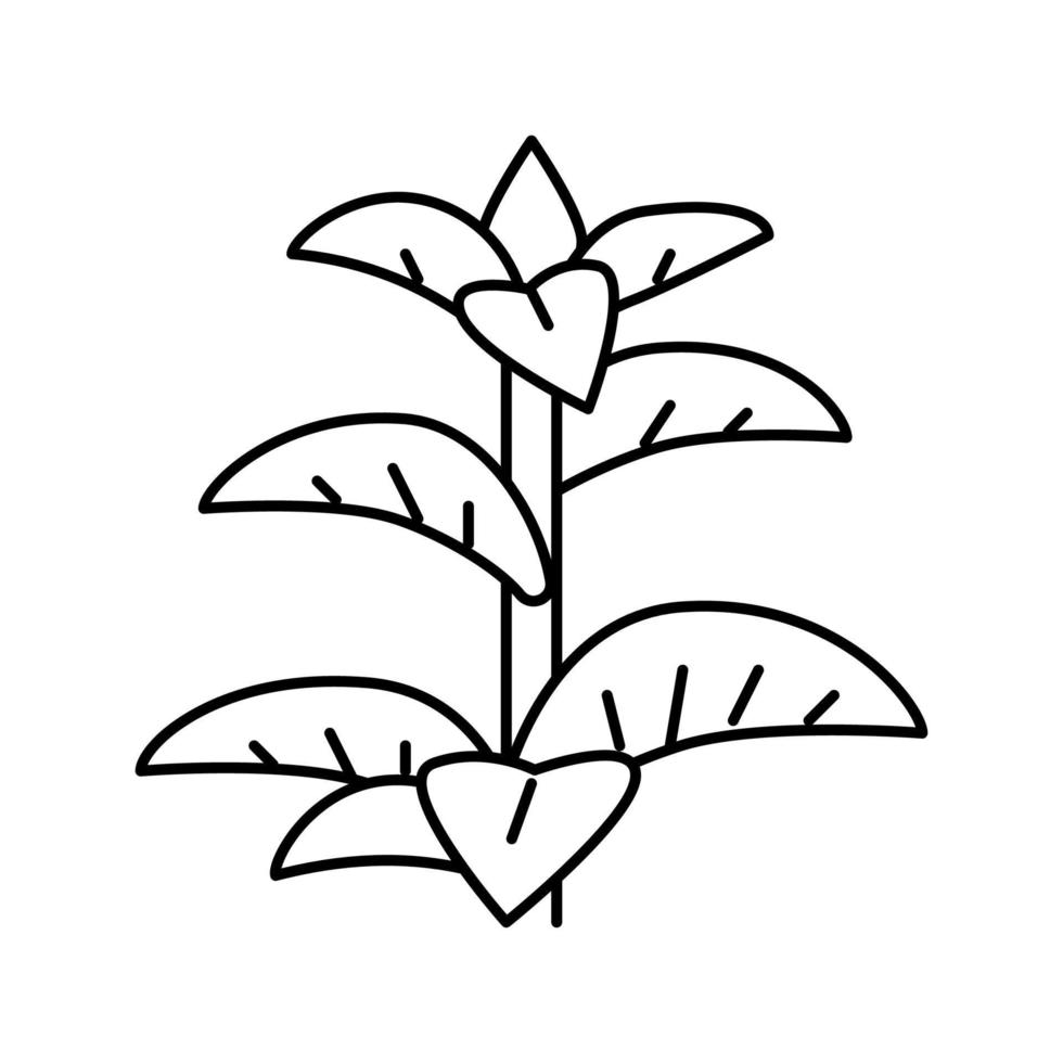 illustration vectorielle de l'icône de la ligne d'herbes à la menthe poivrée vecteur
