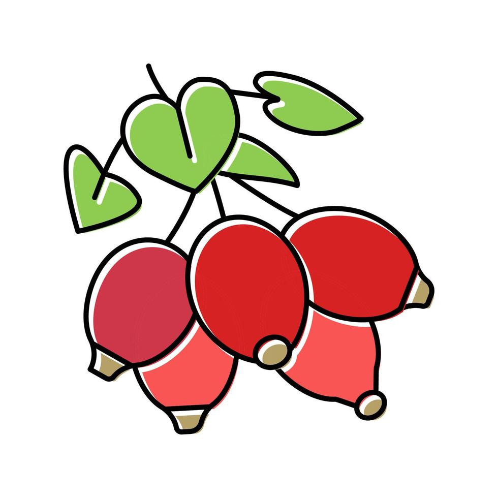 dogrose berry couleur icône illustration vectorielle vecteur