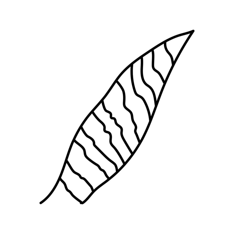 illustration vectorielle de l'icône de la ligne tropicale des feuilles de sansevieria vecteur