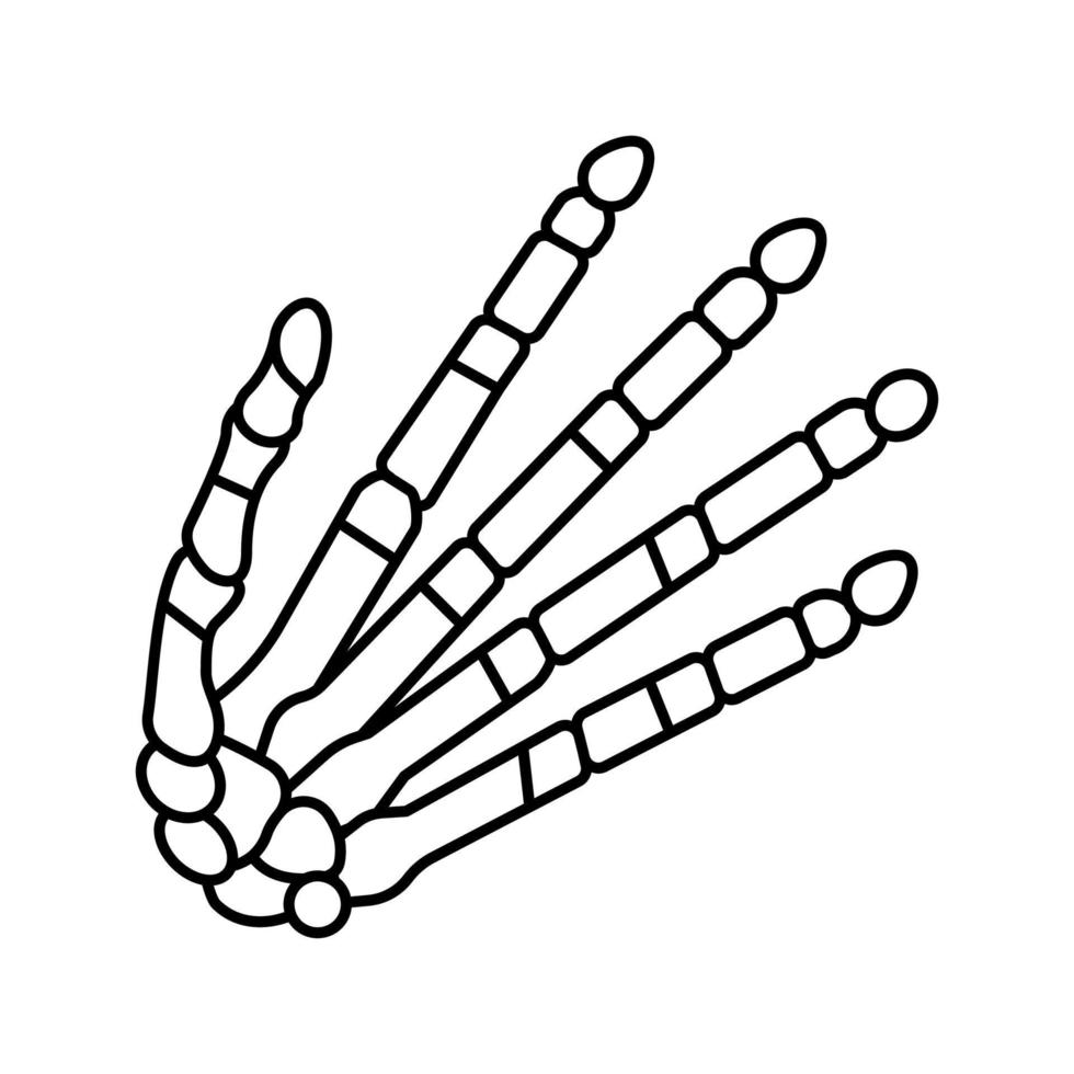 illustration vectorielle de l'icône de la ligne osseuse de la main vecteur