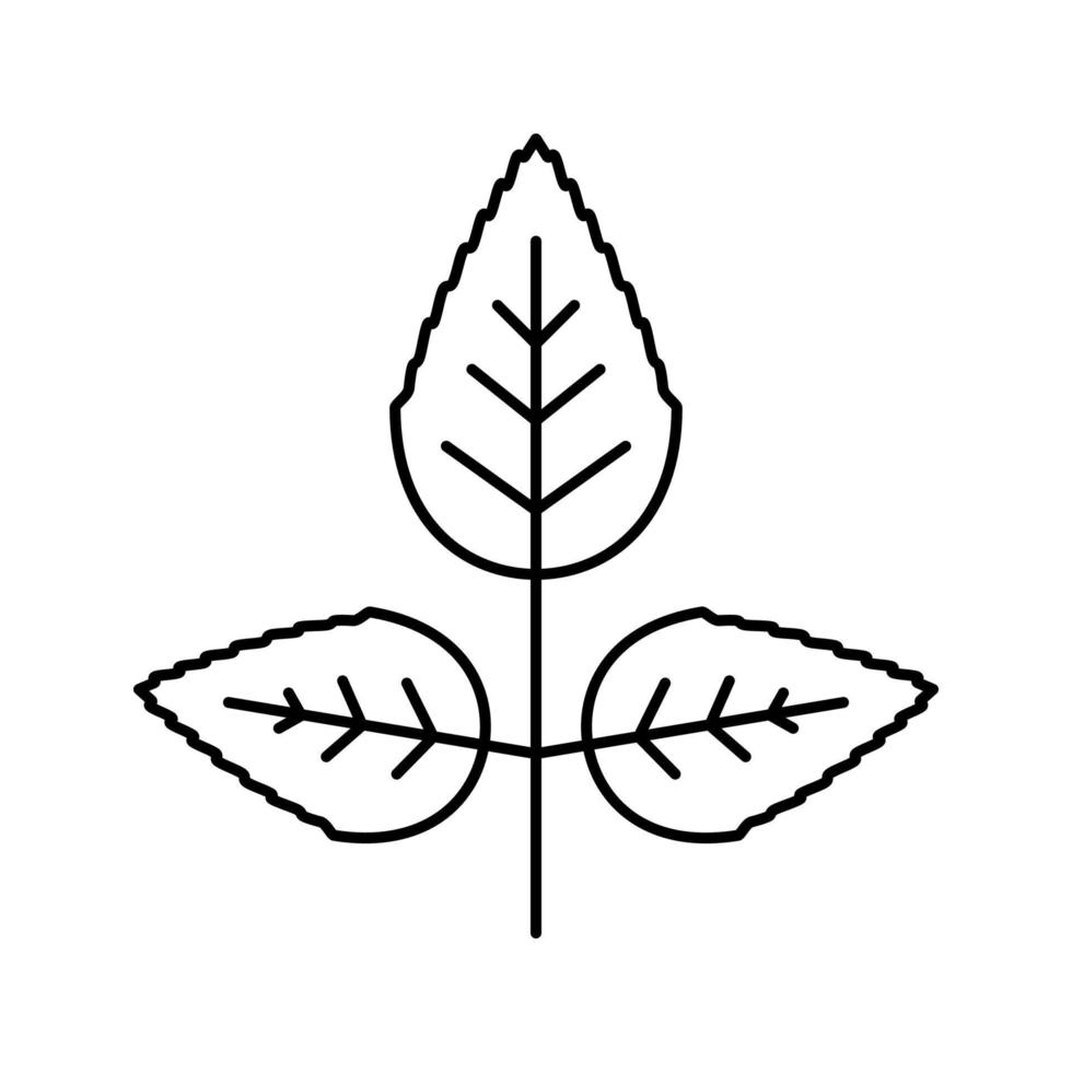fleur rose feuille ligne icône illustration vectorielle vecteur