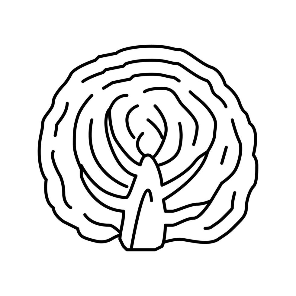 la moitié de l'illustration vectorielle de l'icône de la ligne de légumes au chou vecteur