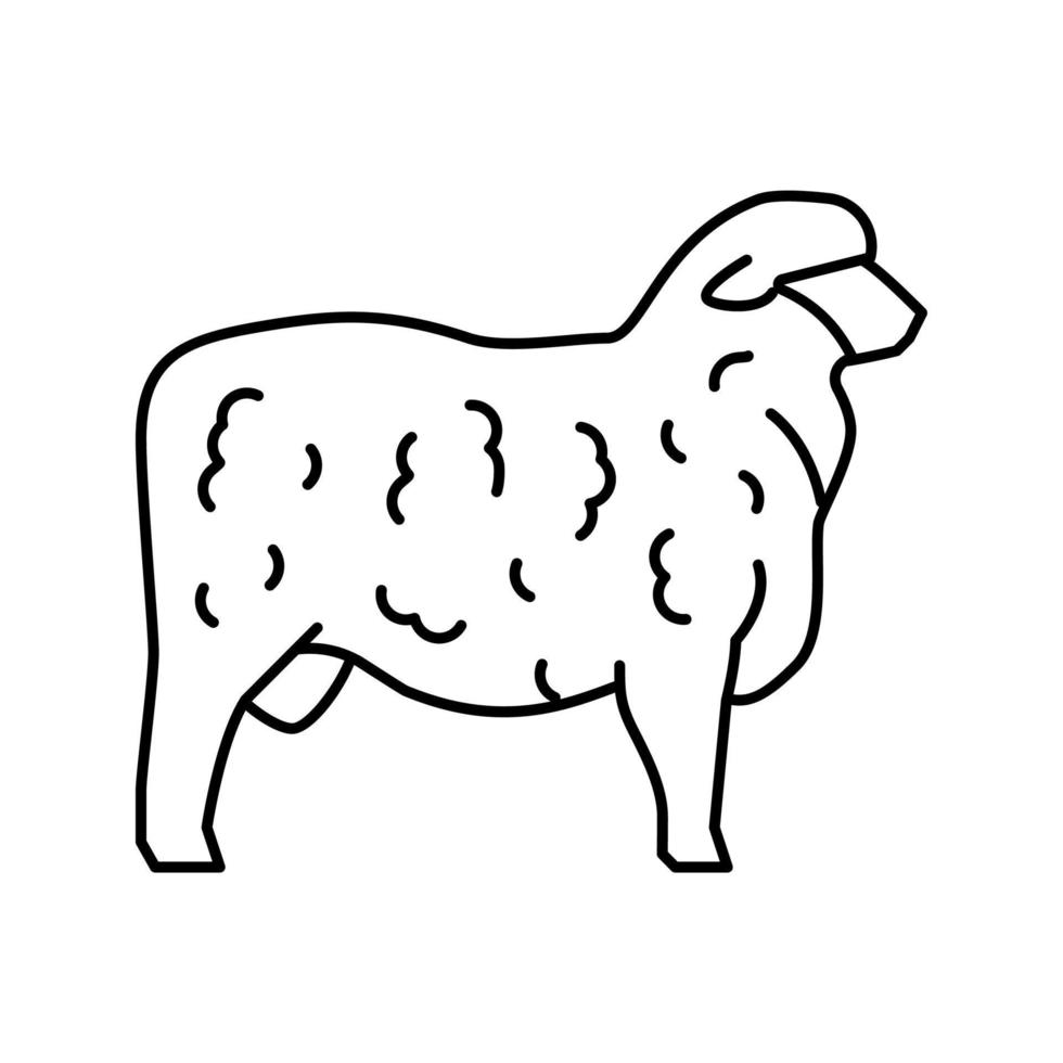 illustration vectorielle de l'icône de la ligne des moutons corriedale vecteur
