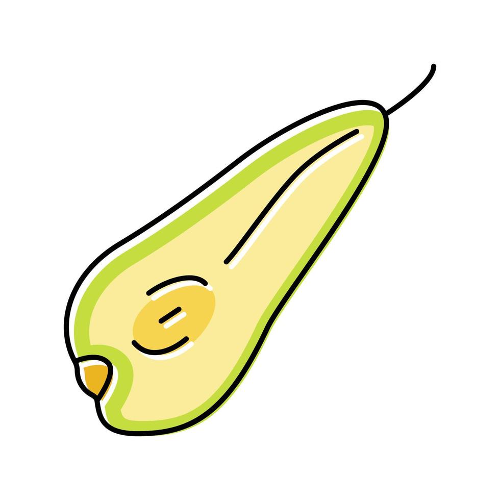 illustration vectorielle d'icône de couleur de tranche de conférence de poire vecteur