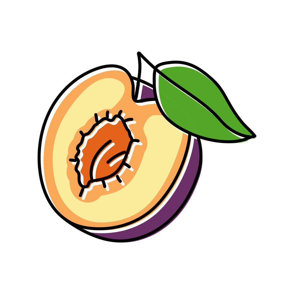 illustration vectorielle de l'icône de couleur des feuilles coupées de graines de prune vecteur