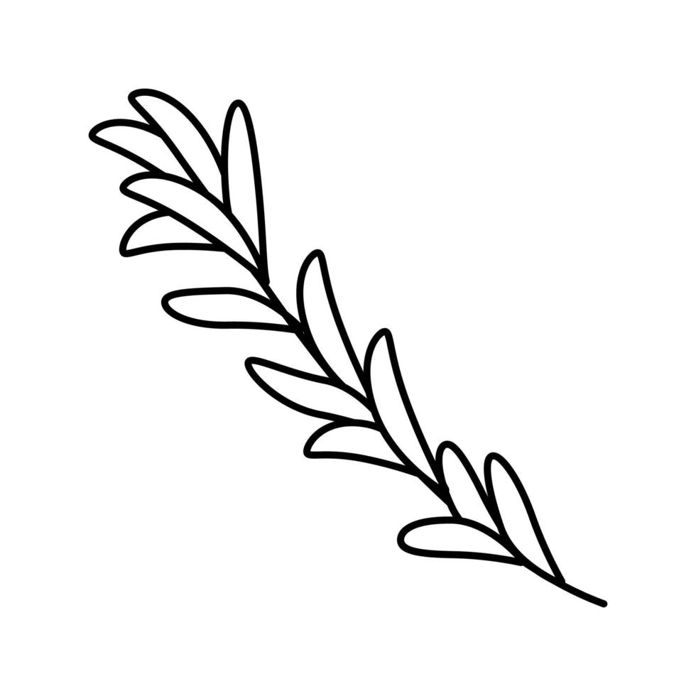 illustration vectorielle d'icône de ligne de branche de romarin vecteur