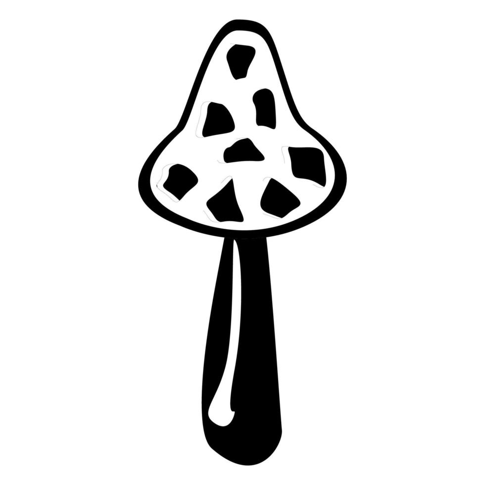contour de morille. champignons biologiques comestibles. truffe. types de champignons sauvages forestiers. illustration de vecteur coloré isolé sur fond blanc.