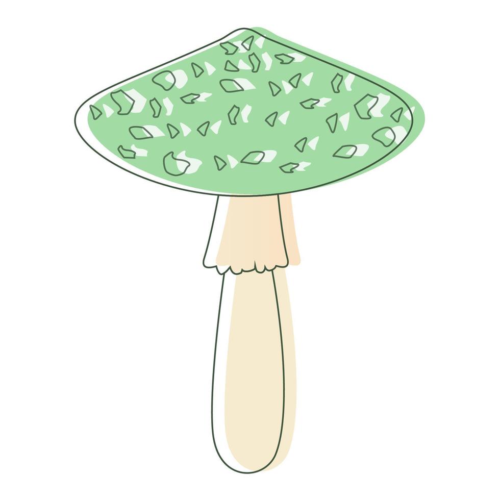 champignon amanite verte. champignons biologiques comestibles. truffe. types de champignons sauvages forestiers. illustration de vecteur coloré isolé sur fond blanc.