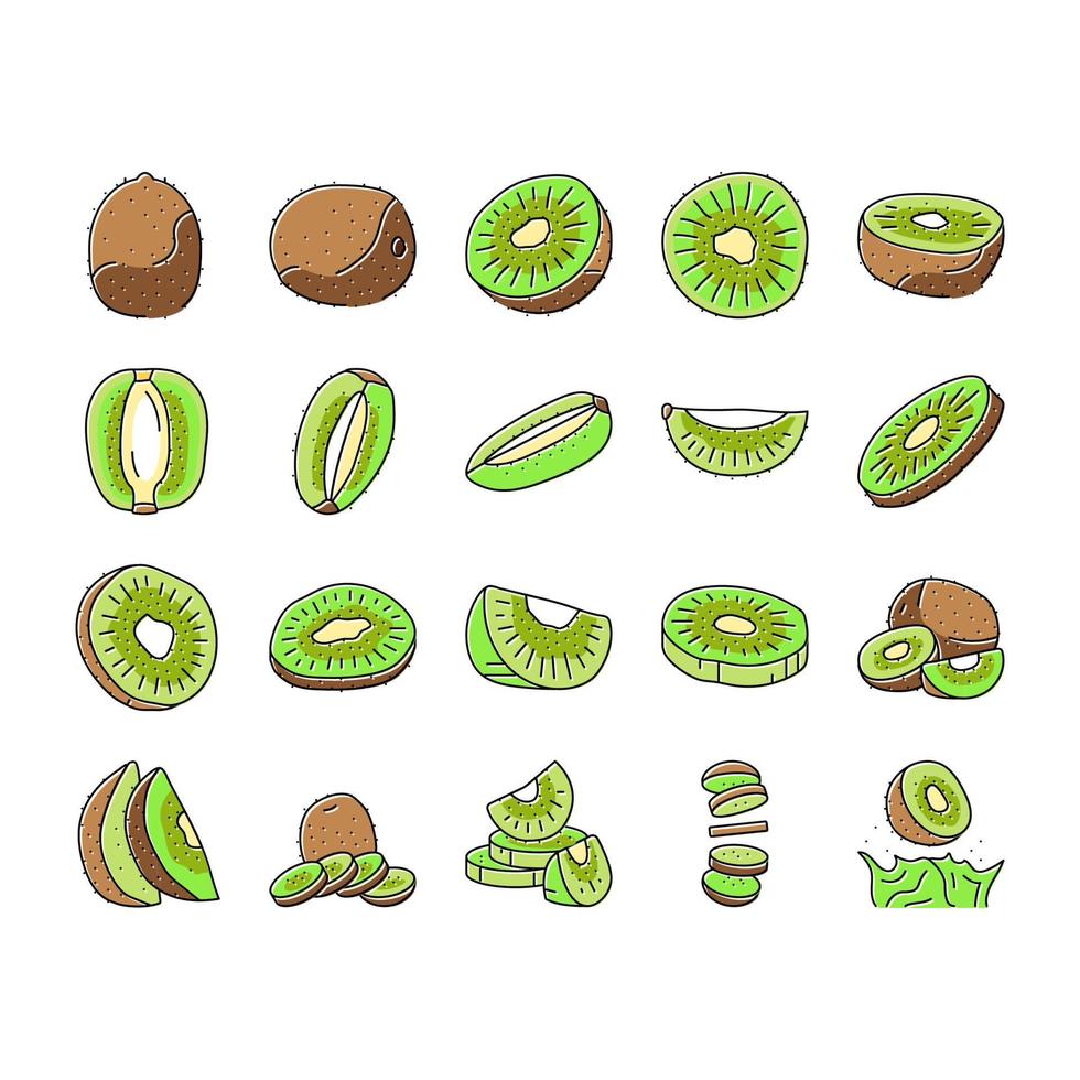 kiwi fruit vert tranche fraîche icônes définies vecteur