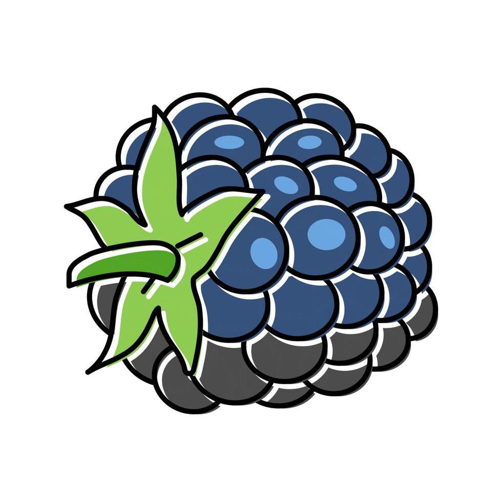 illustration vectorielle de l'icône de couleur des feuilles de baies de mûres vecteur