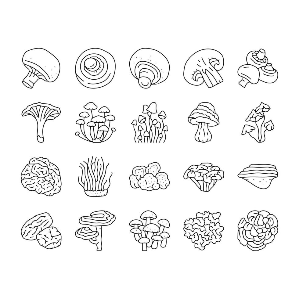 champignons alimentaires forêt champignons icônes définies vecteur