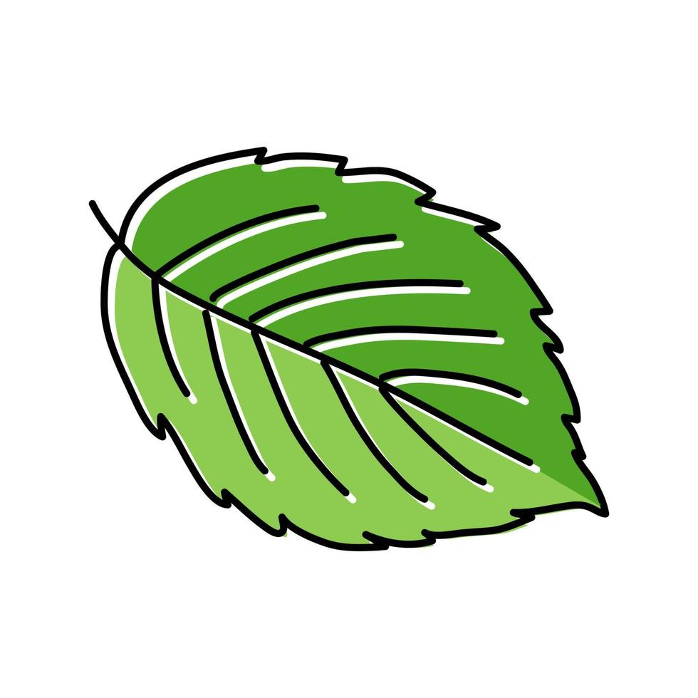 feuille blackberry plante couleur icône illustration vectorielle vecteur