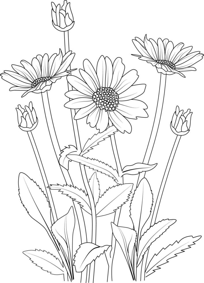 bouquet de fleurs de marguerite de vecteur croquis illustration dessinée à la main, branche de collaction naturelle de feuilles bourgeon vase dessin de contour art d'encre gravé isolé sur fond blanc