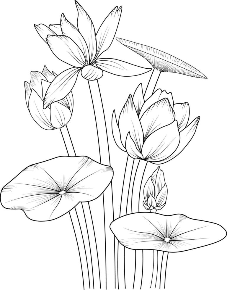 art de crayon de fleur de lotus, page de coloriage de vecteur de contour noir et blanc et livre pour adultes et enfants fleurs nénuphar, avec des feuilles dessinées à la main illustration d'encre gravée conception artistique.