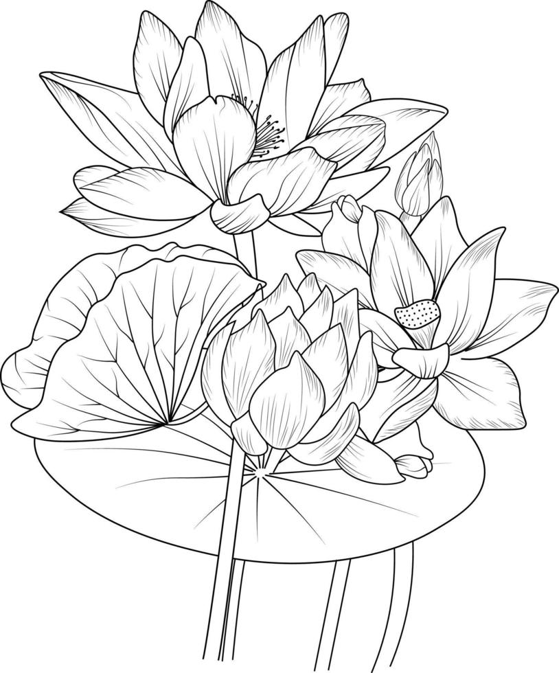 image vectorielle de fleur de lotus, collection d'éléments d'été, pages de coloriage de fleur de lotus égyptien peintes à la main, croquis vectoriel, art au crayon, fleurs sauvages de conception florale vintage avec livre de coloriage pour adultes. vecteur