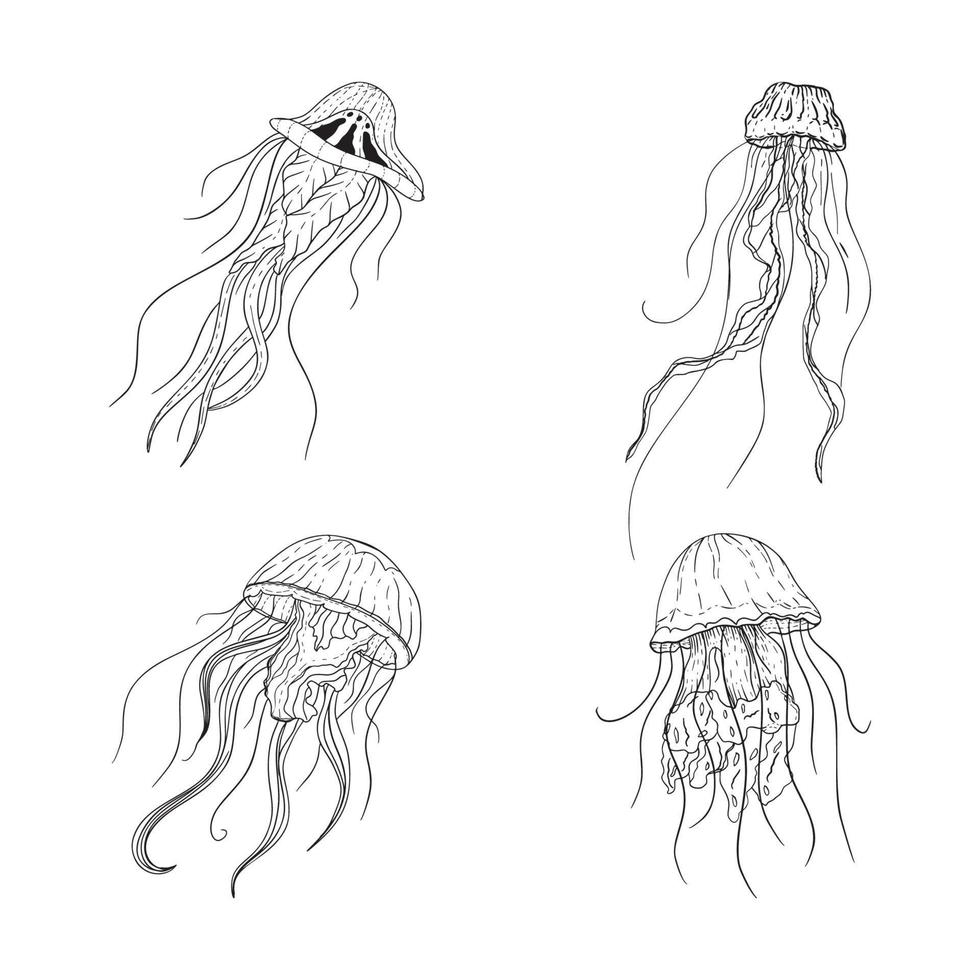 illustrations de méduses dans un style d'encre d'art vecteur