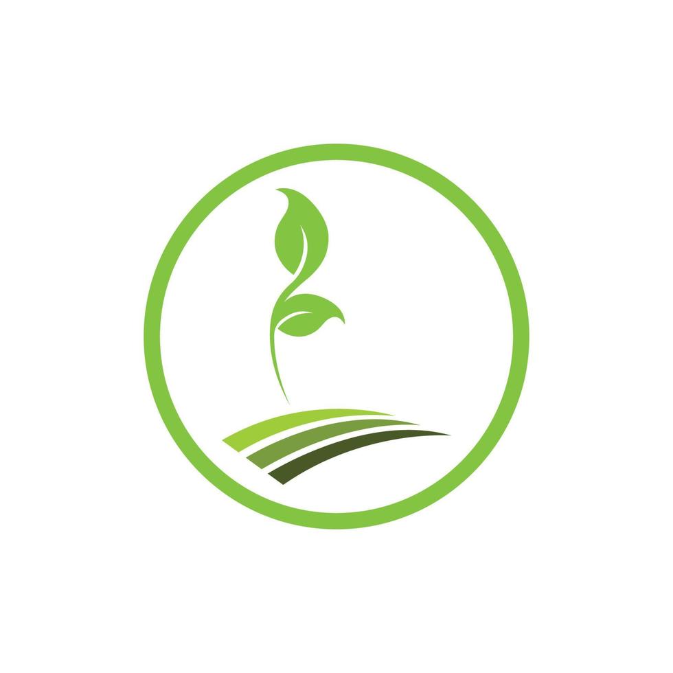 logo et symbole de la plante de la nature vecteur