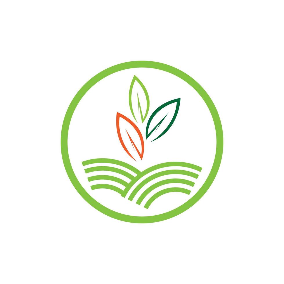 logo et symbole de la plante de la nature vecteur