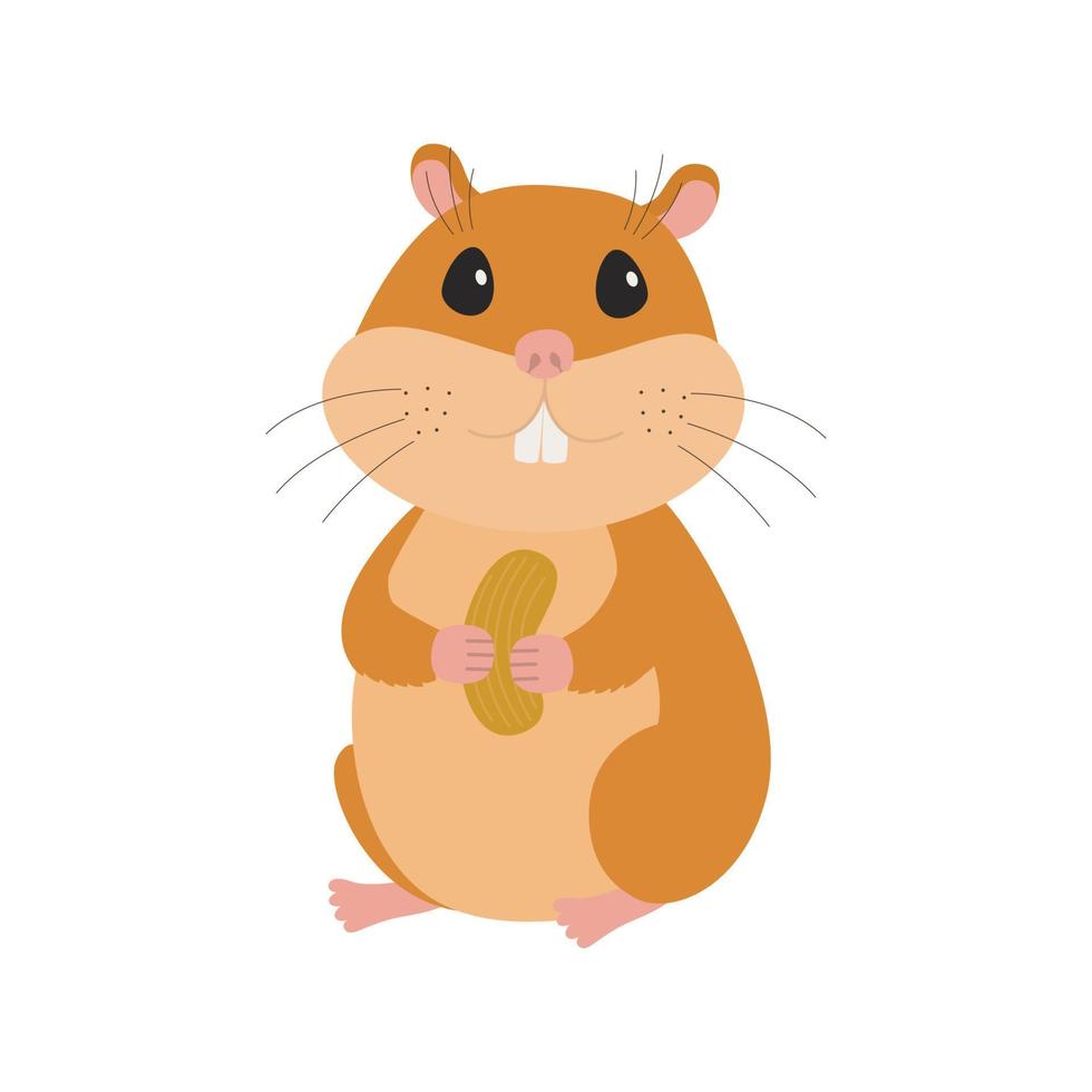 joli hamster avec une noix vecteur
