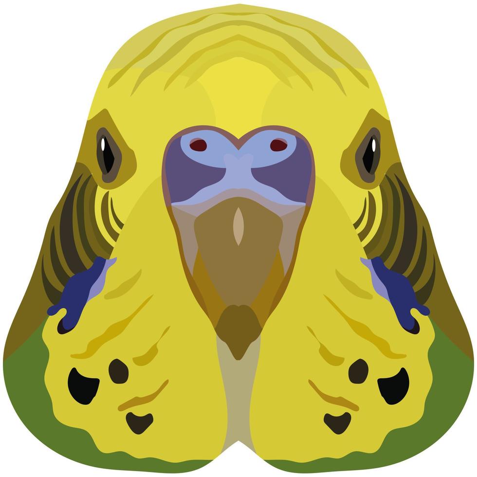 perruche. une illustration du museau d'un petit oiseau domestique est représentée. un portrait lumineux est représenté sur un fond blanc. graphiques vectoriels. logo animalier vecteur