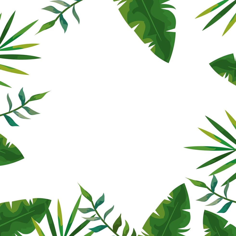 Cadre d'icône isolé de feuilles naturelles tropicales vecteur