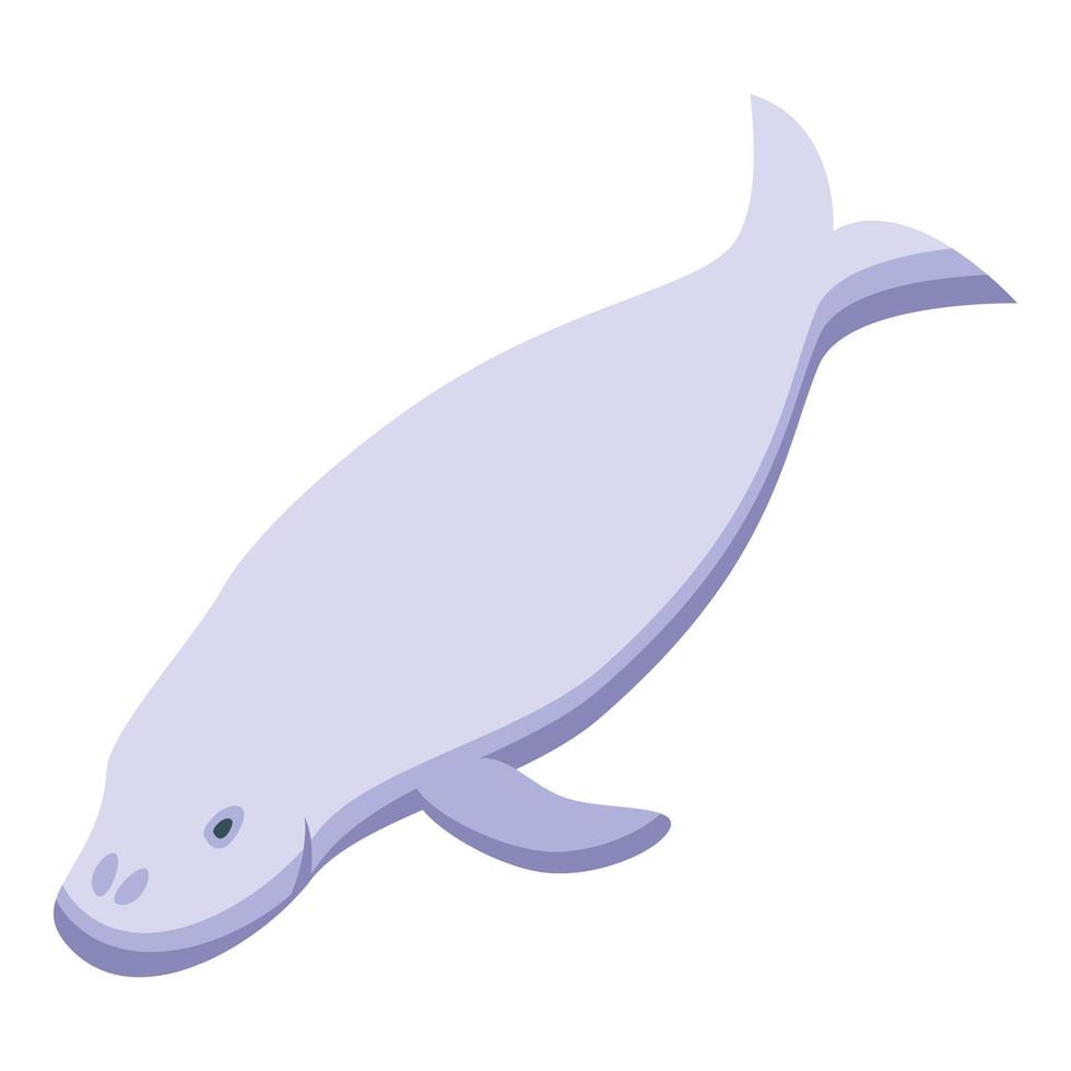 vecteur isométrique d'icône de lamantin dugong. bébé de la mer