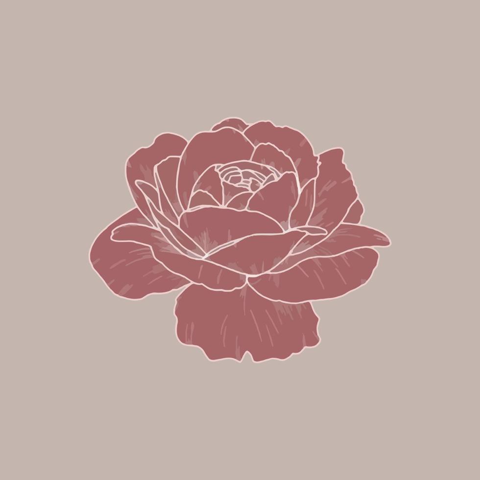 création de logo rose rose blush, illustration vectorielle simple et stylée vecteur