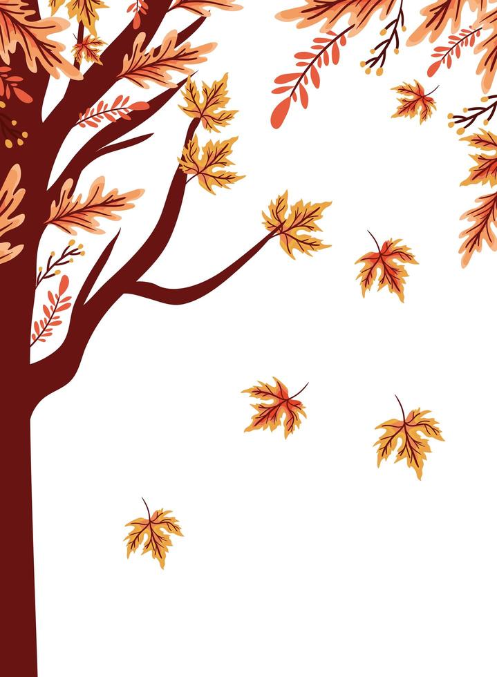 arbre automne avec icône saisonnière de feuilles vecteur