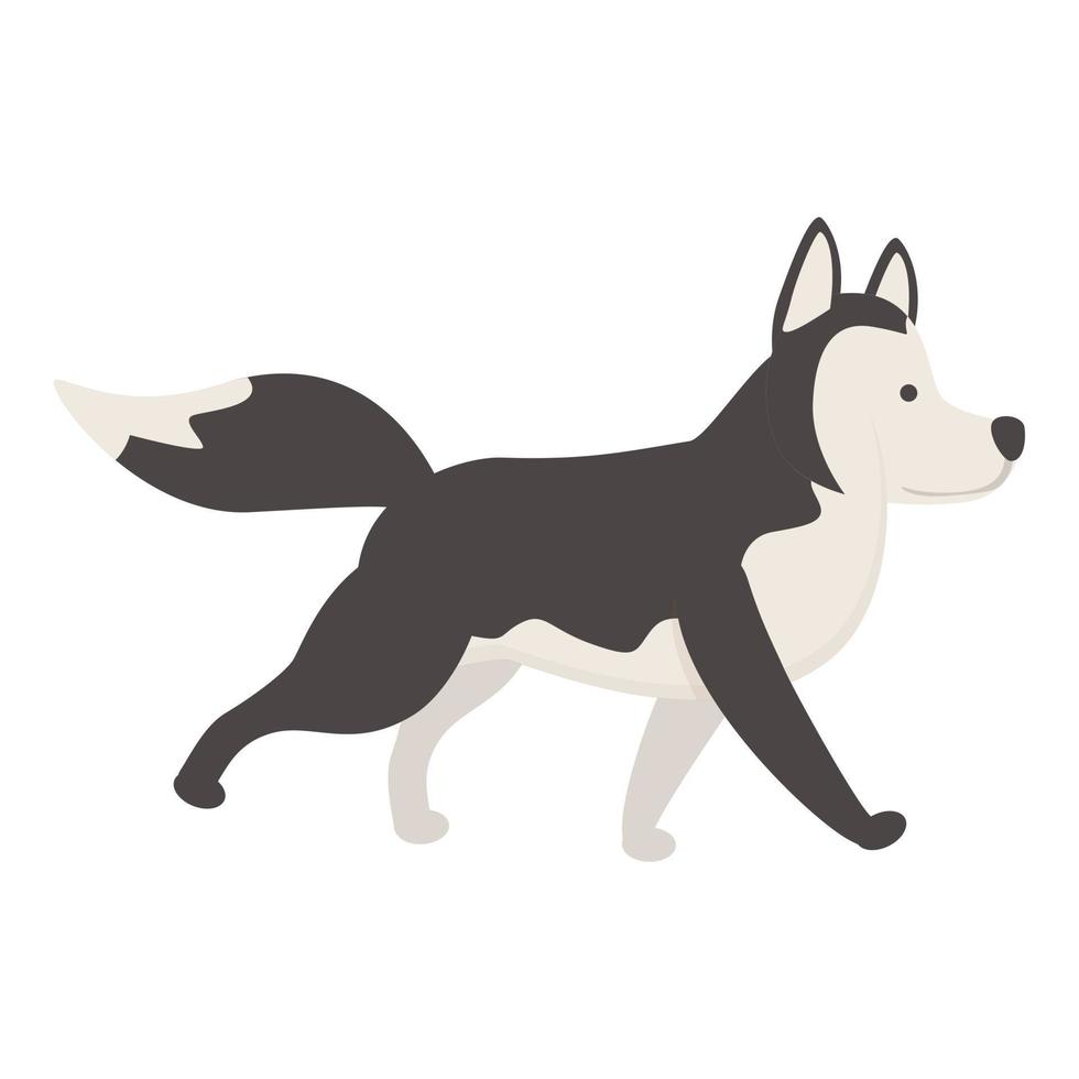 vecteur de dessin animé d'icône husky marchant. chien sibérien