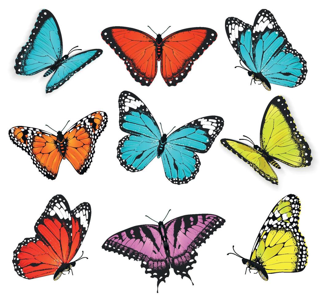 ensemble d'illustration vectorielle de papillons colorés vecteur