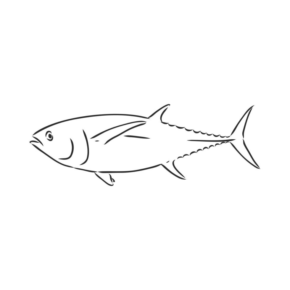 croquis de vecteur de poisson