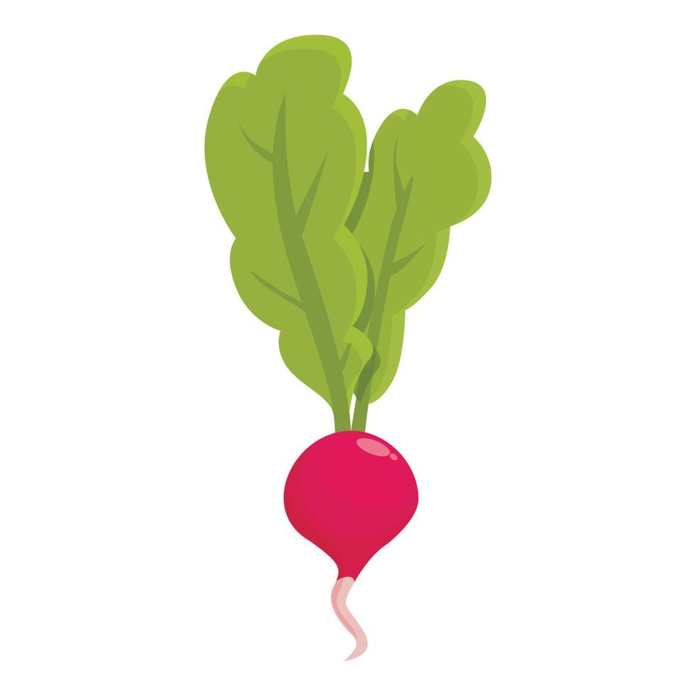 vecteur de dessin animé d'icône de tranche de radis. régime végétarien