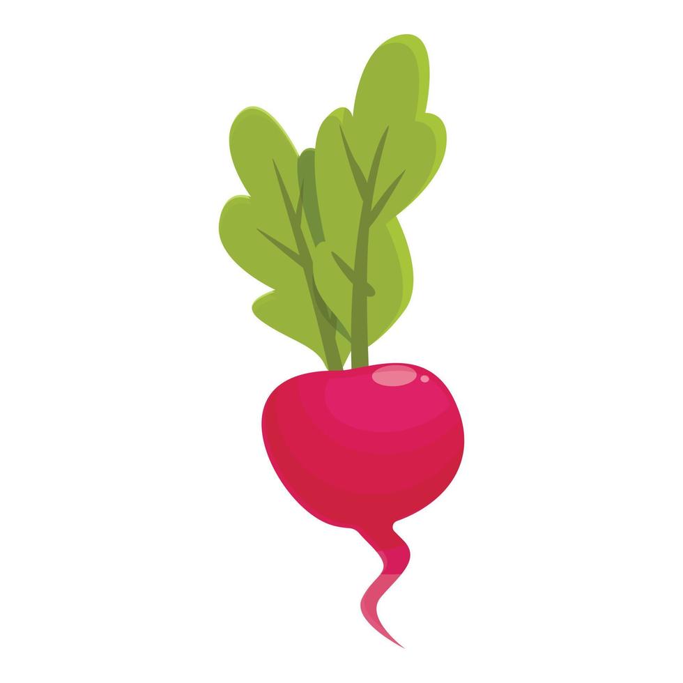 vecteur de dessin animé icône nature radis. plante alimentaire