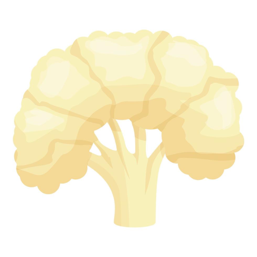 vecteur de dessin animé d'icône de chou-fleur de santé. nourriture au chou