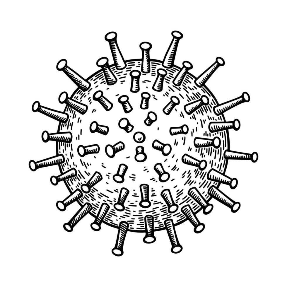 cytomégalovirus dessiné à la main isolé sur fond blanc. illustration vectorielle scientifique détaillée réaliste dans le style de croquis vecteur