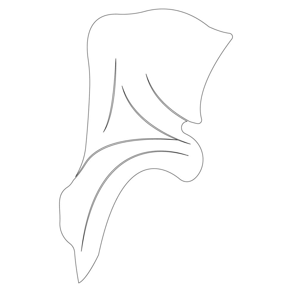 vecteur d'illustration de logo hijab